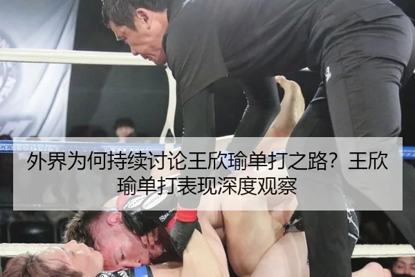 wai-jie-wei-he-chi-xu-tao-lun-wang-xin-yu-dan-da-zhi-lu-wang-xin-yu-dan-da-biao-xian-shen-du-guan-cha-2-833.jpg